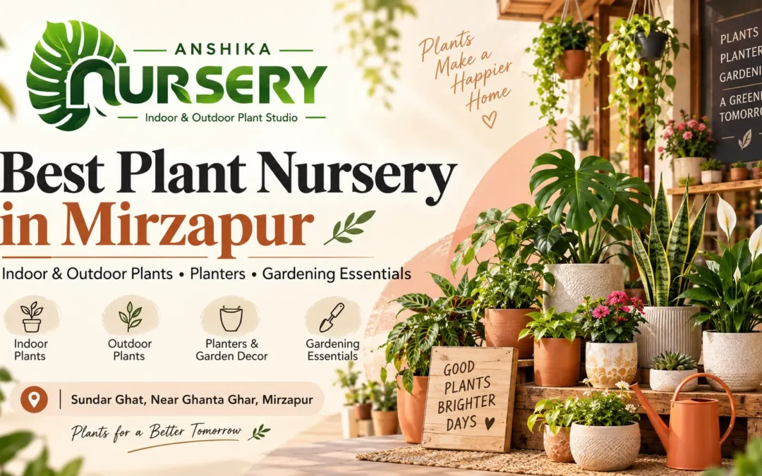 Premium Plant Nursery in Mirzapur for Indoor & Outdoor Plants